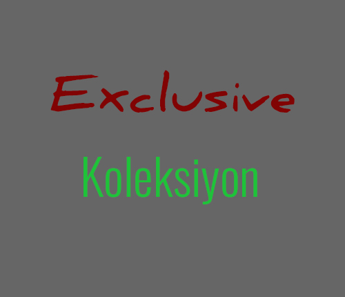EXCLUSIVE